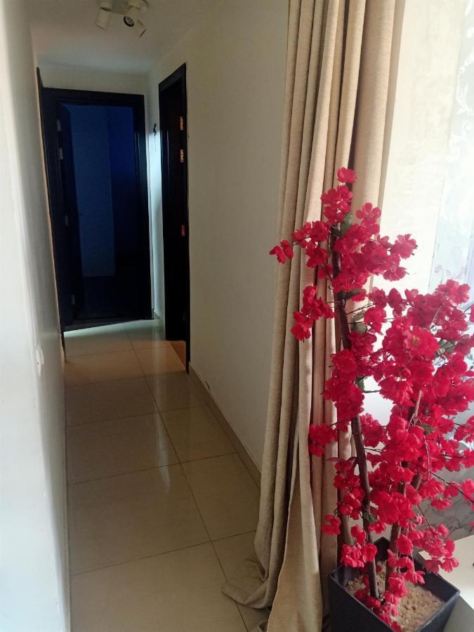 Fully Furnished Apartment At Ocean Blue Compound Il Il Cairo Esterno foto